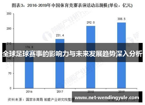全球足球赛事的影响力与未来发展趋势深入分析