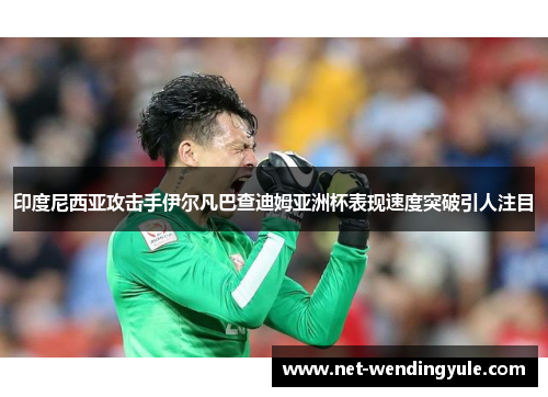 印度尼西亚攻击手伊尔凡巴查迪姆亚洲杯表现速度突破引人注目