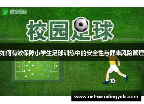 如何有效保障小学生足球训练中的安全性与健康风险管理