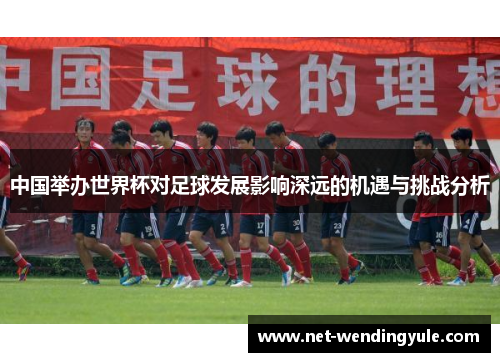 中国举办世界杯对足球发展影响深远的机遇与挑战分析