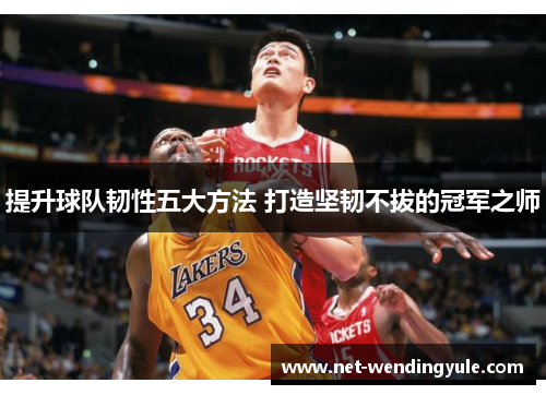 提升球队韧性五大方法 打造坚韧不拔的冠军之师