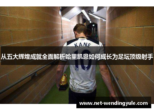 从五大辉煌成就全面解析哈里凯恩如何成长为足坛顶级射手 从五大辉煌成就全面解析哈里凯恩如何成长为足坛顶级射手