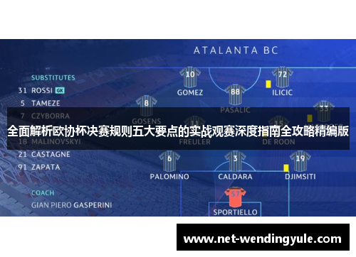 全面解析欧协杯决赛规则五大要点的实战观赛深度指南全攻略精编版